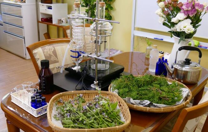 第二回蒸気蒸留水体験会