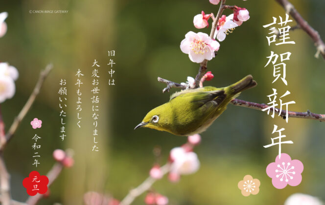 2020年もよろしくお願いいたします