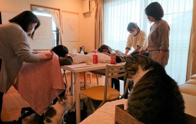 活動レポート